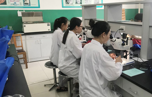 为本科生举办微血管技术技能培训